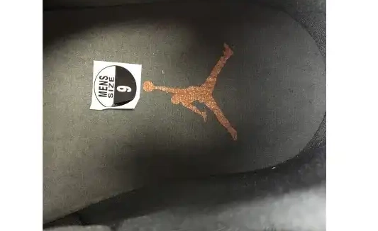 JORDAN X AIR AT3375-100 AT3375-100 PATTA “ICICLE” 7 0416